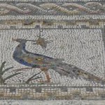 Mosaico Pavos Reales